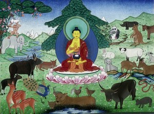 01-buddhas-love-for-animals