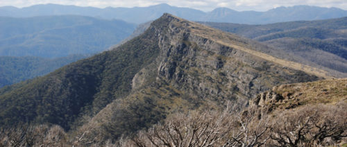 The-Bluff-Trail