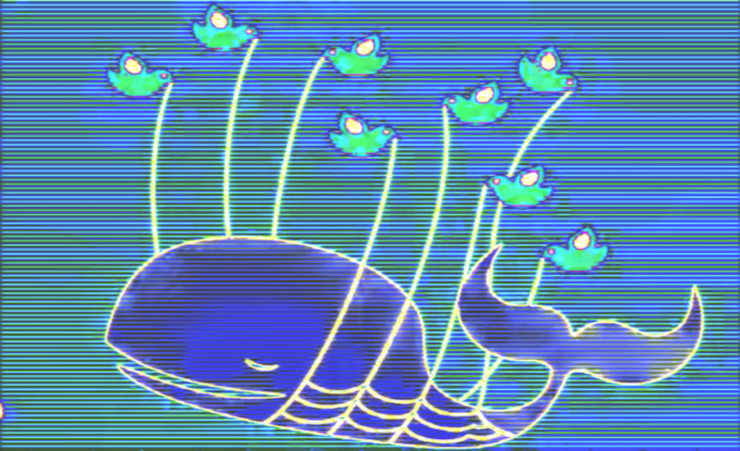 flat twit whale